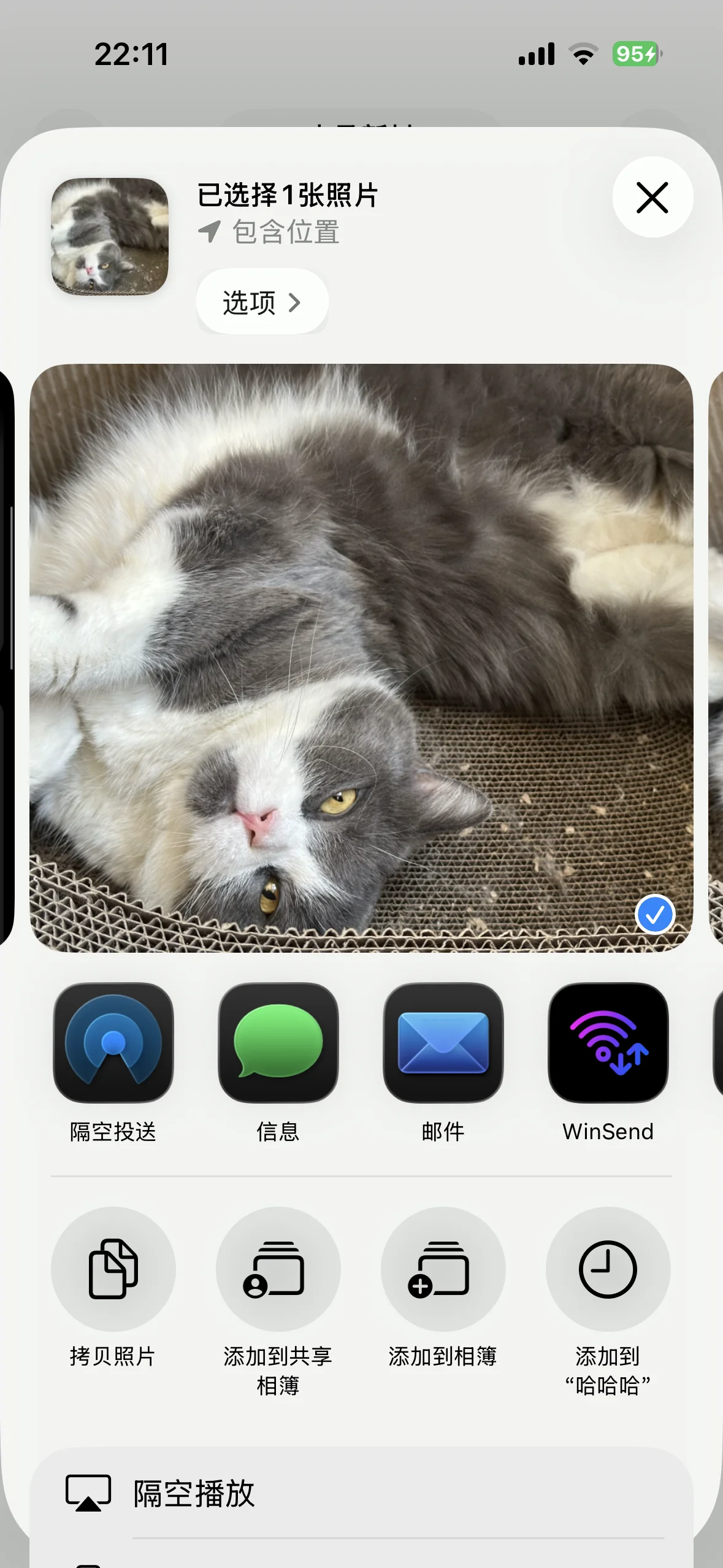 iPhone share sheet showing WinSend next to AirDrop, Messages and Mail